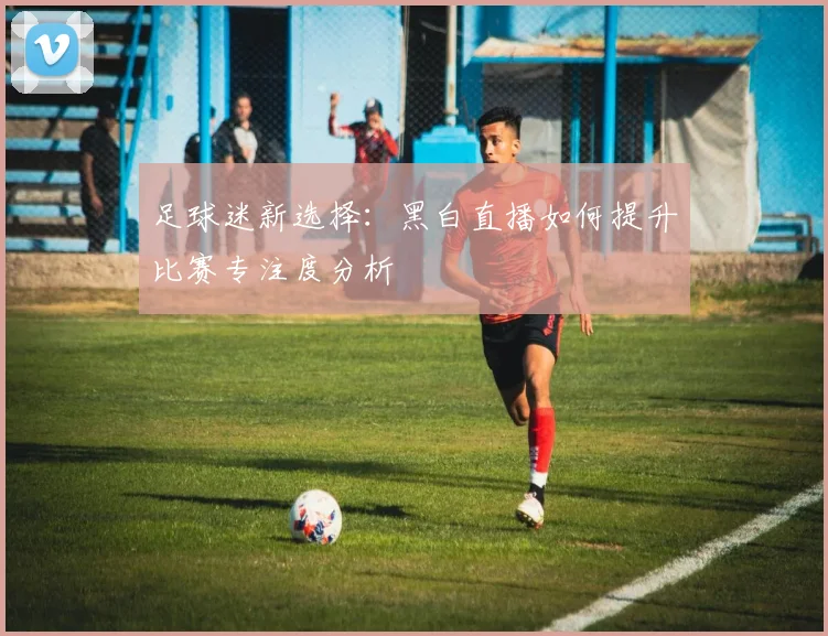 足球迷新选择:黑白直播如何提升比赛专注度分析