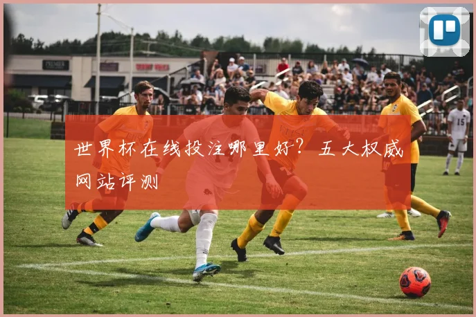 世界杯在线投注哪里好？五大权威网站评测