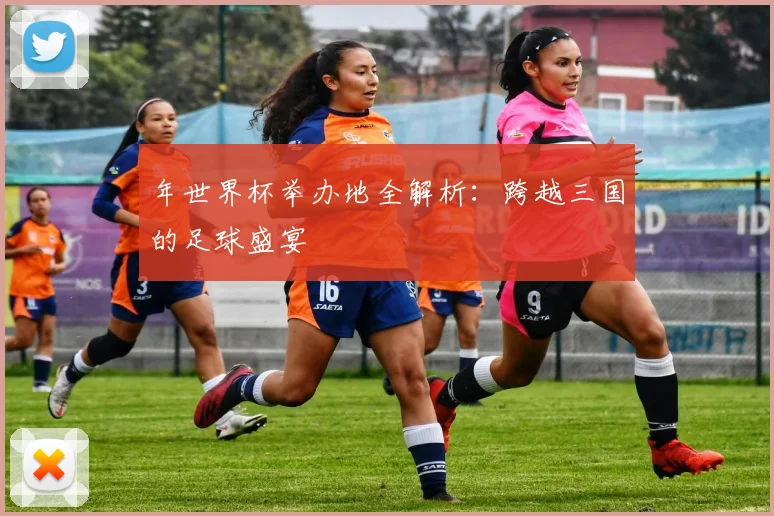 年世界杯举办地全解析：跨越三国的足球盛宴