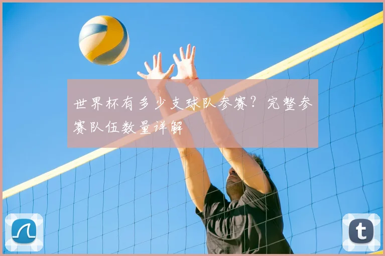 世界杯有多少支球队参赛?完整参赛队伍数量详解