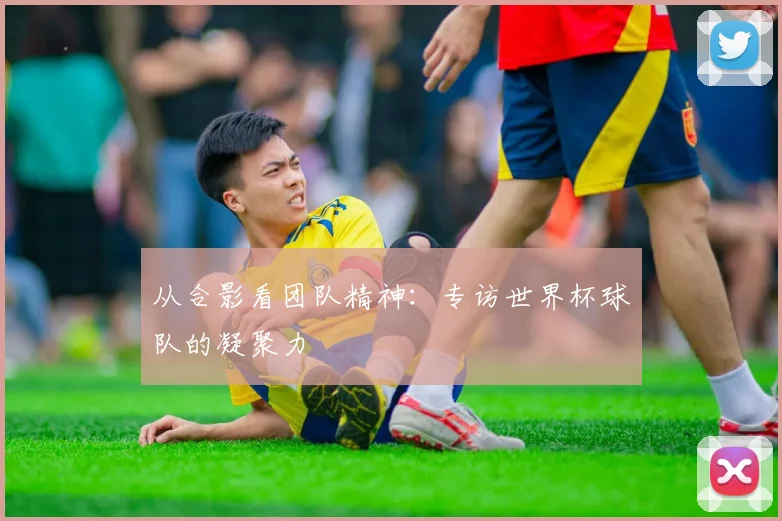 从合影看团队精神：专访世界杯球队的凝聚力