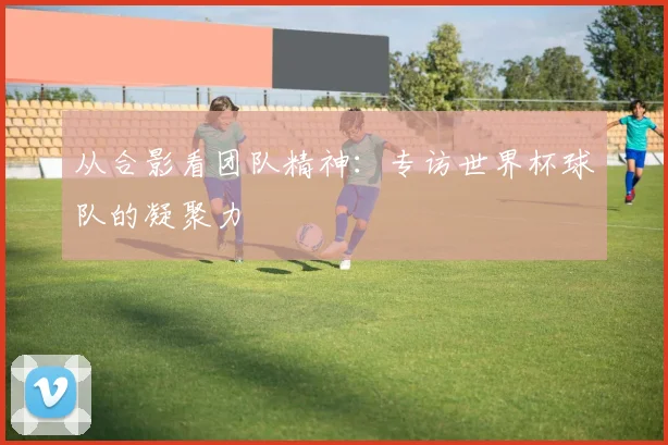 从合影看团队精神：专访世界杯球队的凝聚力