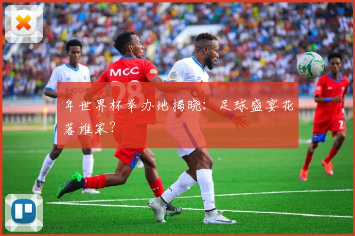 年世界杯举办地揭晓：足球盛宴花落谁家？