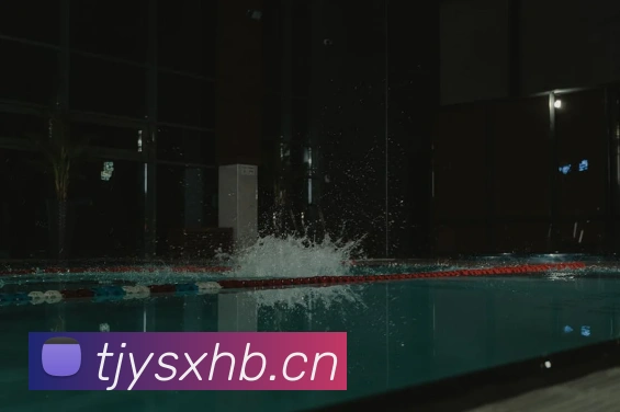 星空网页平台生态图