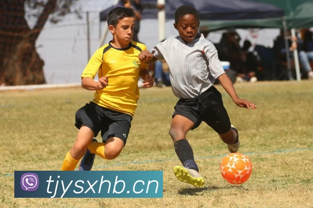 星空网页APP 封面图